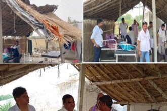 A thatched roof was built behind the dhaba, a bed was placed in front of the cooler, CMO raided the place, everyone was stunned to see the scene