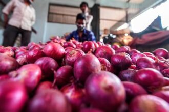 After the ban was lifted, India exported more than 45,000 tonnes of onion - India TV Hindi