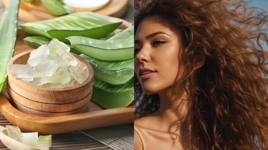 Aloe vera is beneficial in these hair problems, know how to use it, hair will get countless benefits?  - India TV Hindi