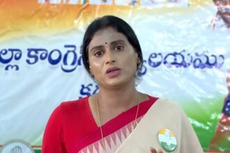 Andhra Pradesh: Sister YS Sharmila shed tears due to CM Jagan's comment, said this - India TV Hindi