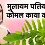Beauty gets enhanced by the soft leaves of this hard tree, Mahakal is for ringworm, scabies and itching, it is also expert in preventing hair fall.