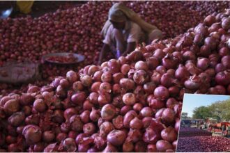 Big decision of Government of India, 40% duty imposed on export of onion - India TV Hindi