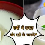 Buttermilk and curd keep the stomach healthy in summer, know the different benefits of both from experts.