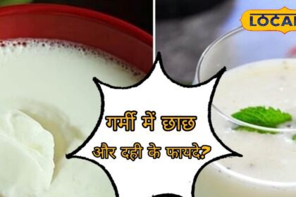 Buttermilk and curd keep the stomach healthy in summer, know the different benefits of both from experts.