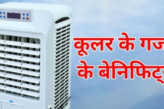 Cooler is a very useful thing, it protects from heat and improves air quality, the big benefits will surprise you.