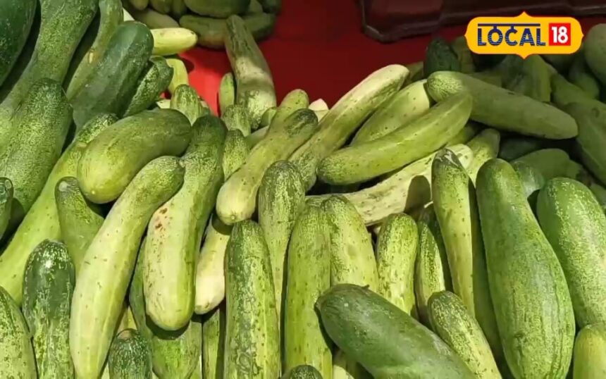 Cucumber is a medicine for the body, it protects from dozens of diseases, the benefits will surprise you.