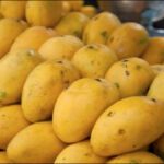 Delhiites eat lakhs of kilos of mangoes every day, this is the most selling mango - India TV Hindi
