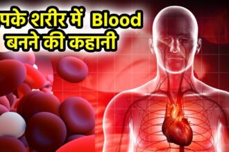 Do you know how blood is formed in the body, how blood reaches every vein through a line of 96000 kilometers, what is its function?