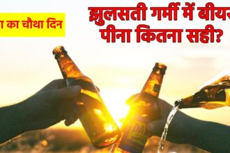 Does drinking chilled beer in summer increase belly fat? What does science say? Know everything from the experts