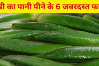 Drink lady's finger water on an empty stomach in the morning, it is a panacea for blood sugar, cholesterol level and weight loss, it is like nectar in diabetes.