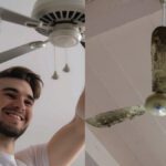 Easy way to clean the grease and dust on the fan, just follow these tips - India TV Hindi