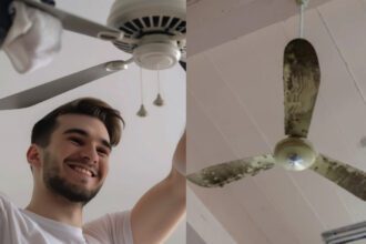 Easy way to clean the grease and dust on the fan, just follow these tips - India TV Hindi