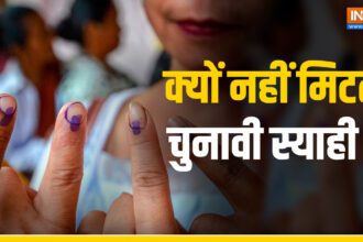 Election ink: Why does the election ink on the finger not disappear, how is it made?  - India TV Hindi