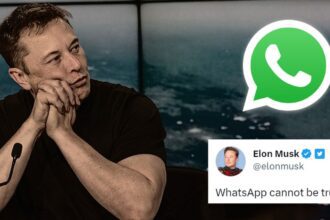 Elon Musk's statement caused a stir, he said- 'Data is stolen every night in WhatsApp' - India TV Hindi