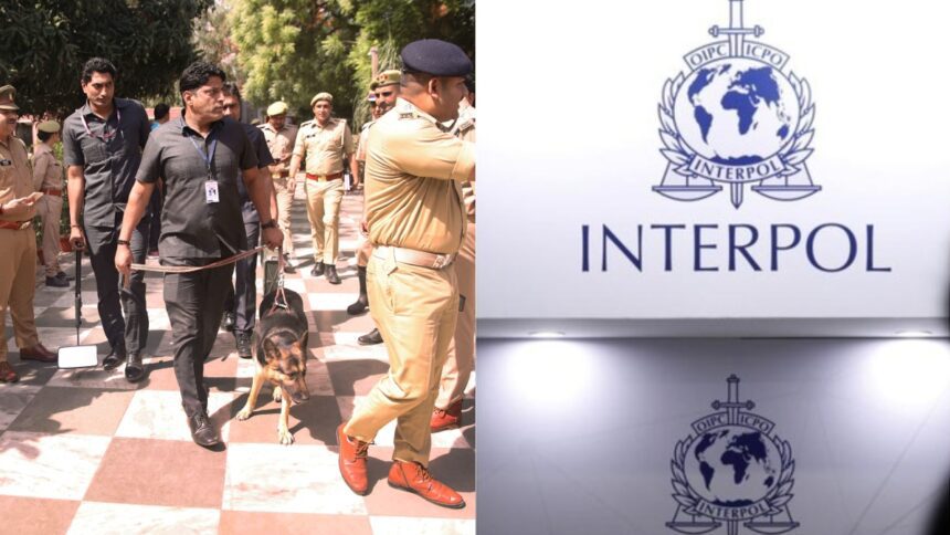 Email of bomb in Delhi schools came from Russian domain, police will take help of Interpol - India TV Hindi