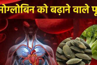 Every drop of blood will be filled with iron power, hemoglobin will be strengthened, you will just have to consume these 7 cheap foods daily, what should be eaten for anemia,
