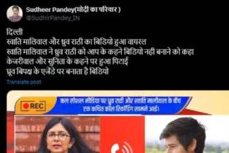 Fake audio of Swati Maliwal and Dhruv Rathi's call recording goes viral