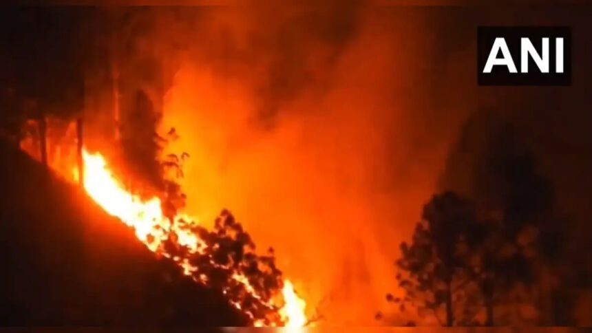 Fire wreaks havoc in the forests of Uttarakhand, 5 dead so far, CM Dhami gave strict instructions - India TV Hindi