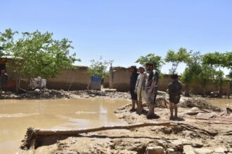 Flood again wreaks havoc in Afghanistan, situation is dire - India TV Hindi