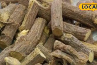 From migraine to stomach problems...this wood has the cure for many major diseases hidden in it! Know its speciality from the expert