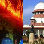 Hearing in the Supreme Court today regarding the fire in the forests of Uttarakhand, 6 dead so far - India TV Hindi