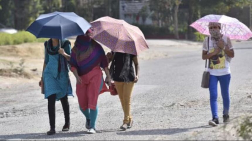 Heat broke 123 year record in April, know the forecast for the month of May - India TV Hindi