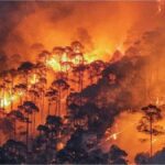 Himachal Pradesh Forest Fire: Like Uttarakhand, now there is a fire in the forests of Himachal, so much damage has been done so far