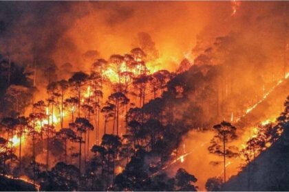 Himachal Pradesh Forest Fire: Like Uttarakhand, now there is a fire in the forests of Himachal, so much damage has been done so far