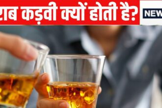How does alcohol increase sugar level despite being bitter? Read this news before drinking
