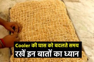 Keep these things in mind while changing the grass of the cooler, you will get cool air like AC - India TV Hindi