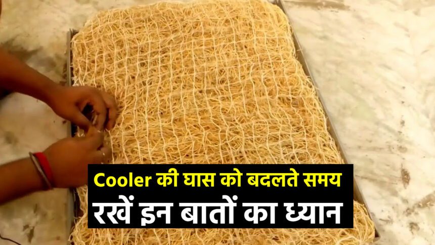 Keep these things in mind while changing the grass of the cooler, you will get cool air like AC - India TV Hindi