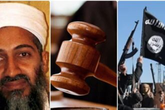 'Laden's photo and ISIS flag...' Why did the High Court grant bail to the UAPA accused?