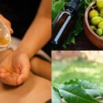 Neem oil is beneficial for the skin, it controls wrinkles;  Know when and how to do it - India TV Hindi