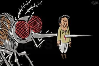 One mosquito can cause you an injury worth Rs 5000... don't clap while sitting at home