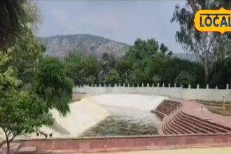 Panch Hills of Rajgir is the stronghold of rare herbs, business will be done across the country