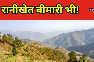 Ranikhet is not only a place, but also a disease... who is in greatest danger?  You may even lose your life