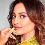 'Roar' completed 1 year, Vijay Verma celebrated with Sonakshi Sinha, the actress said - 'May for me…'