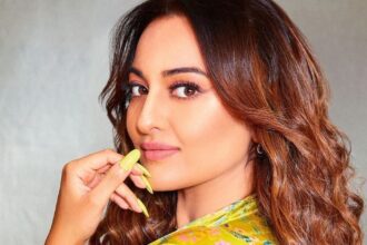 'Roar' completed 1 year, Vijay Verma celebrated with Sonakshi Sinha, the actress said - 'May for me…'