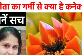 Should one eat papaya in summer or not?  If you are also confused, then know the truth in one click