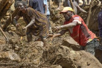 Situation is dire after landslide in Papua New Guinea, India extended a helping hand - India TV Hindi