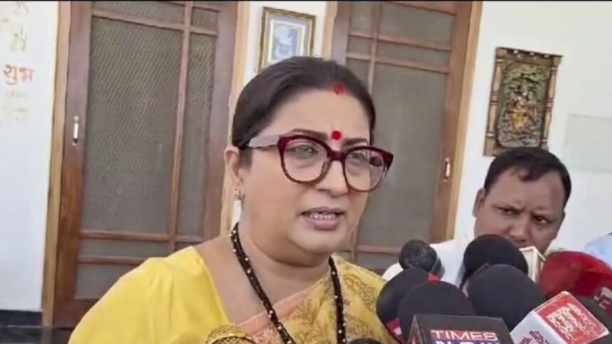 Smriti Irani attacked the former minister of Pakistan, said- 'Pakistan can't handle you anymore..' - India TV Hindi