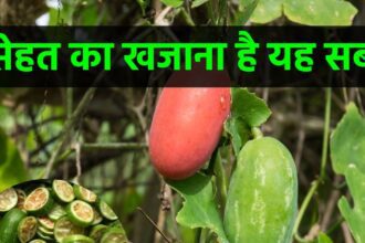 Such a vegetable which no one even asks about, even its leaves have a lot of life in them, and what's more, they can even help in preventing cancer.