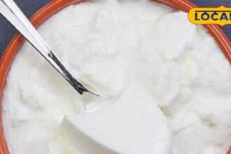 Sugar or salt...what is more beneficial to add to curd?  Learn from experts