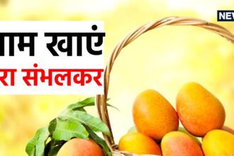 The hobby of eating mango may prove costly, a dangerous 'game' is being played with the king of fruits.