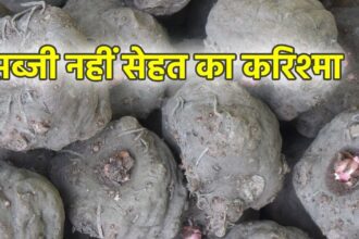 There is a world of health hidden in this vegetable that comes from underground, sugar and cholesterol will all be eliminated!  Direct attack on obesity also