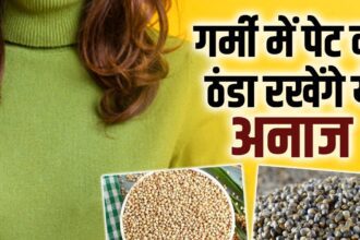 These 5 coarse grains will keep your body cool even in the heat of summer!  Will keep the stomach cool and also attack sugar and cholesterol.