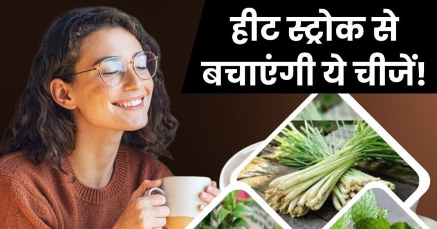These 5 natural things will save you from heat stroke, consume leaves of some and tea of ​​others, the problem will be eliminated from its roots!