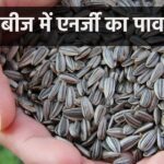 These black seeds keep the heartbeat safe from all harms, so powerful that they can eliminate any trace of thyroid, big benefits in just a few minutes