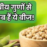 These seeds are full of superpowerful properties, a panacea for the heart..! If you consume even 100 grams, a miracle will happen