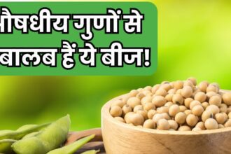 These seeds are full of superpowerful properties, a panacea for the heart..! If you consume even 100 grams, a miracle will happen